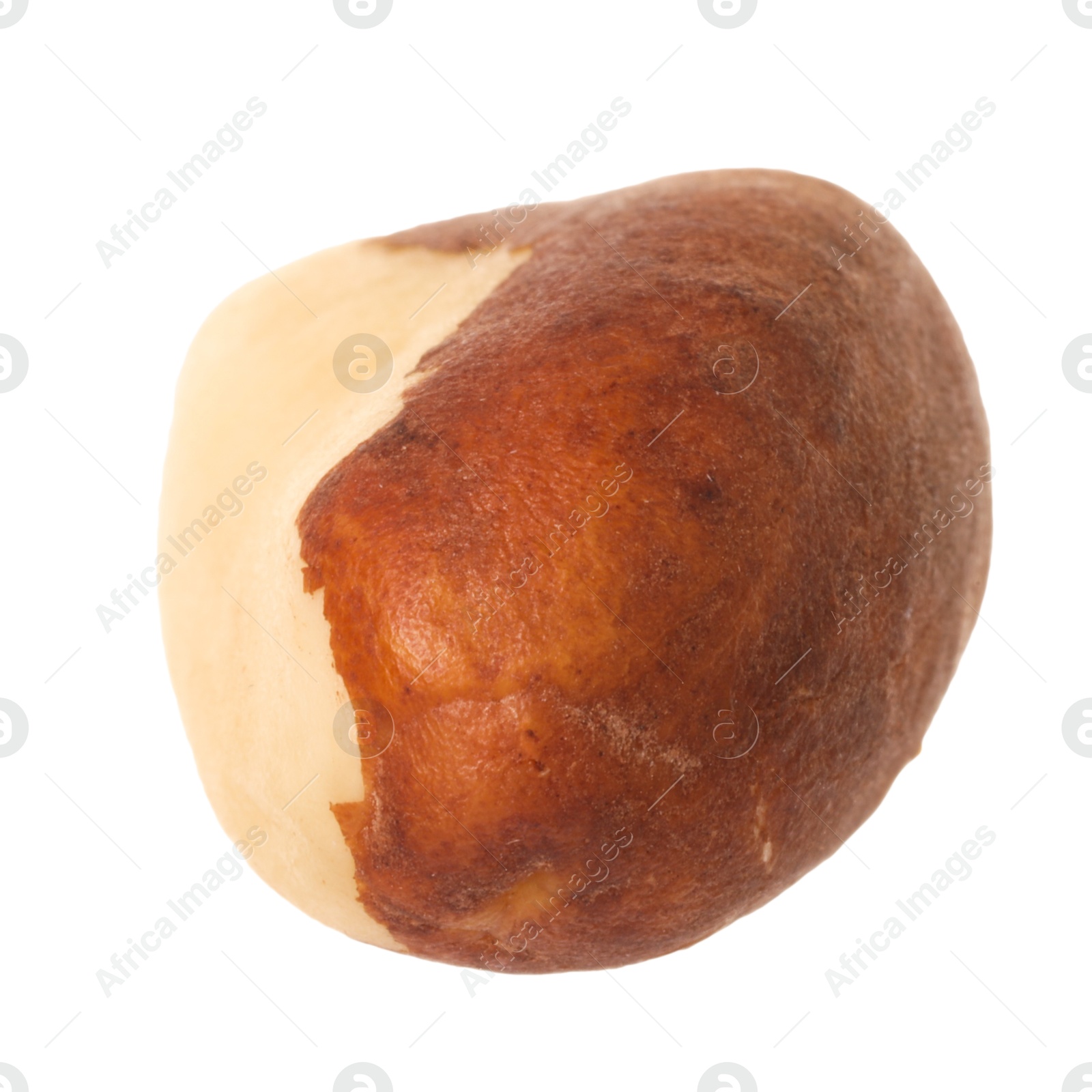 Photo of One tasty Brazil nut isolated on white