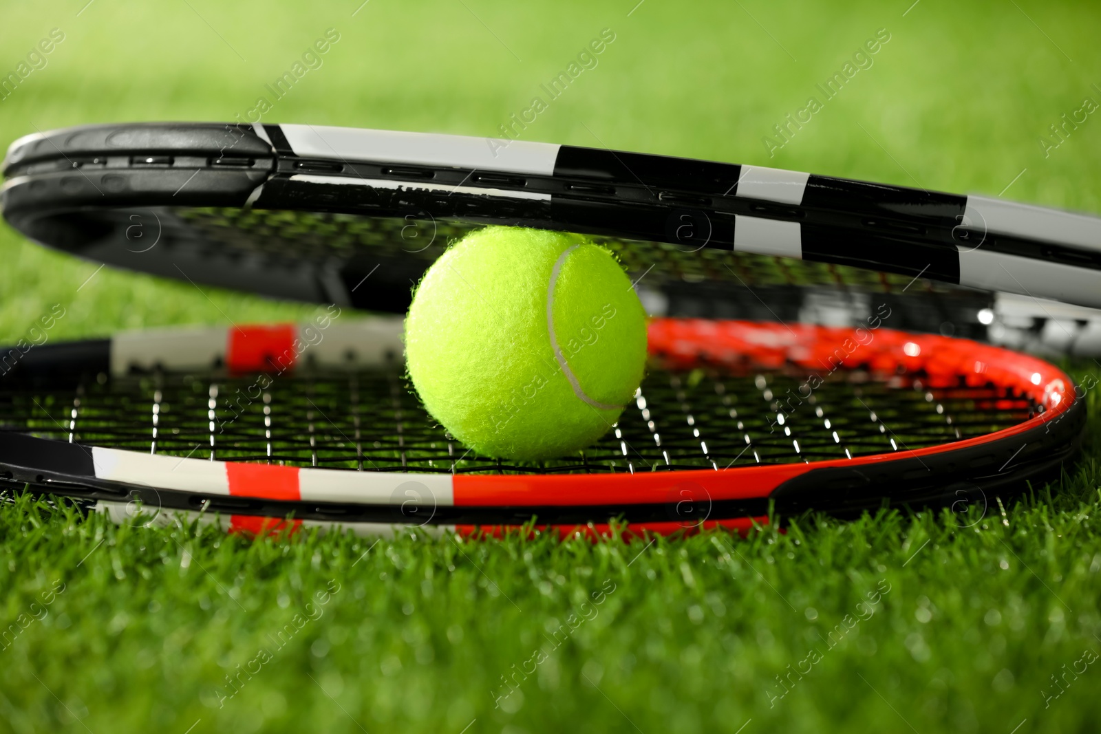 Photo of Tennis rackets and ball on green artificial grass, closeup