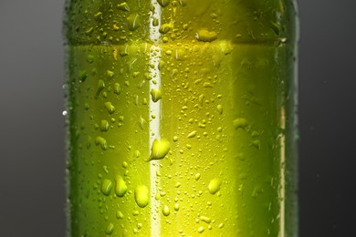 Photo of Glass bottle with condensation drops on grey background, closeup