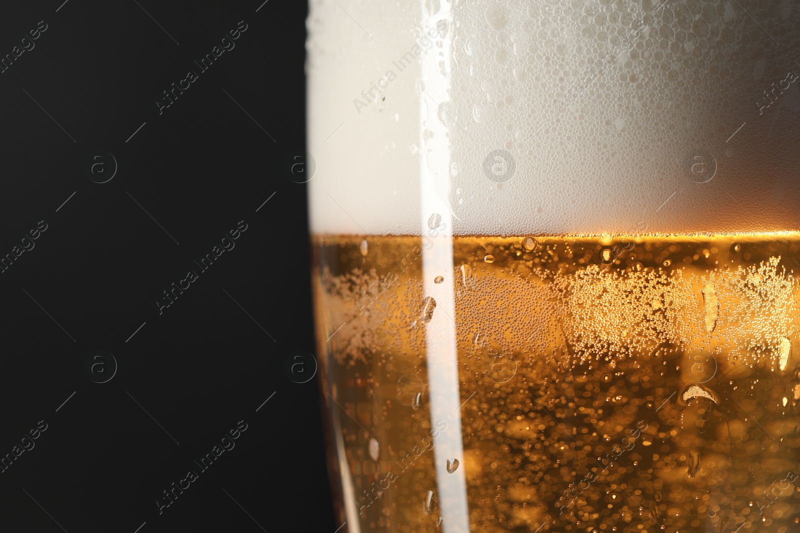 Photo of Glass of beer with condensation drops on black background, macro view. Space for text