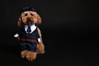 Photo of Cute Toy Poodle dog in police costume on black background, space for text