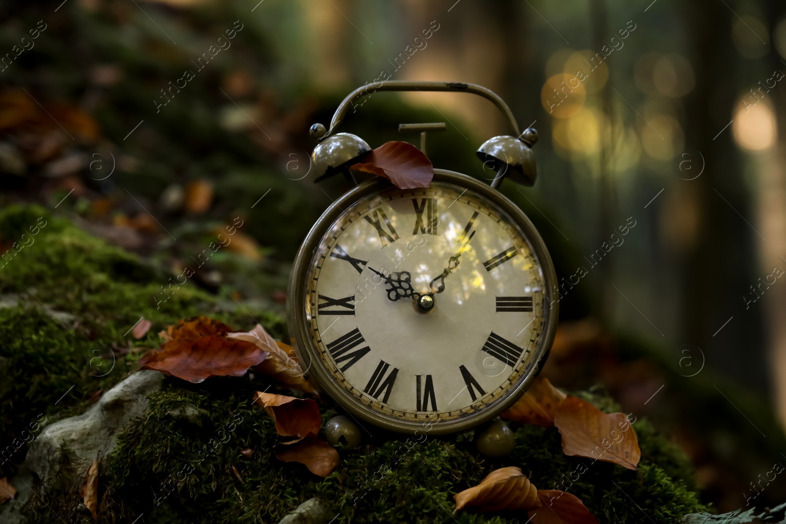 Photo of Alarm clock on fallen dry leaves outdoors, closeup