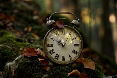 Photo of Alarm clock on fallen dry leaves outdoors, closeup