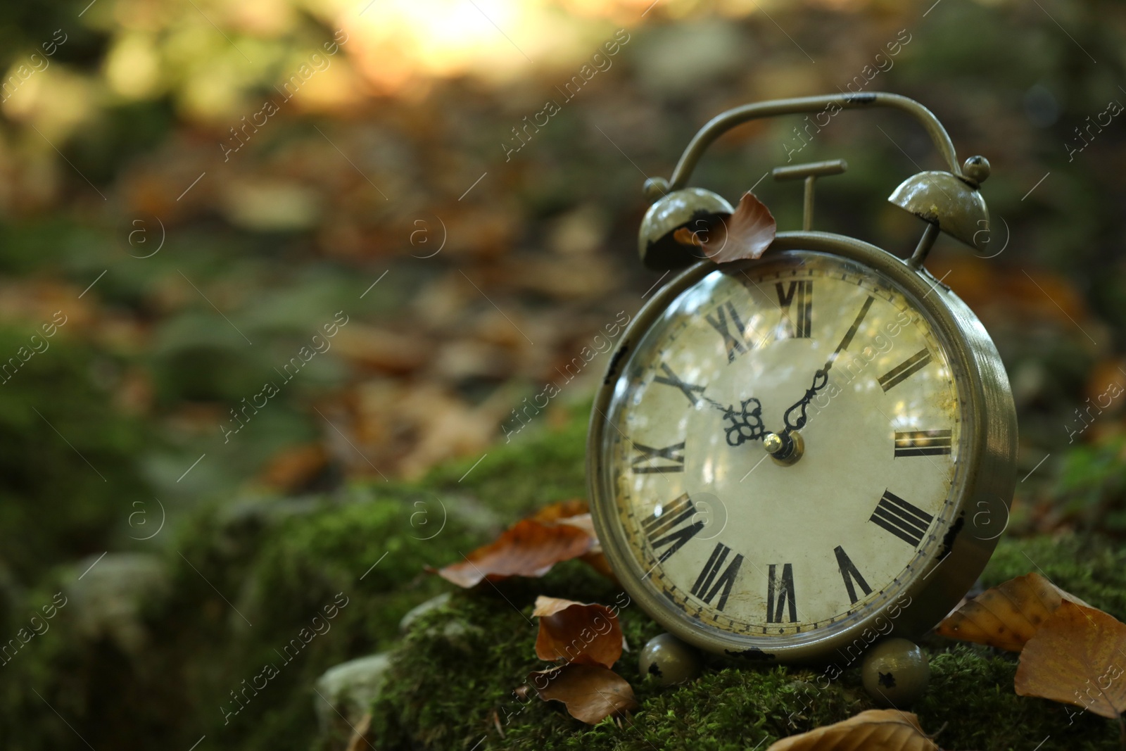 Photo of Alarm clock on fallen dry leaves outdoors, closeup. Space for text