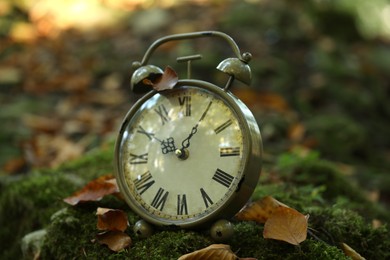 Photo of Alarm clock on fallen dry leaves outdoors, closeup