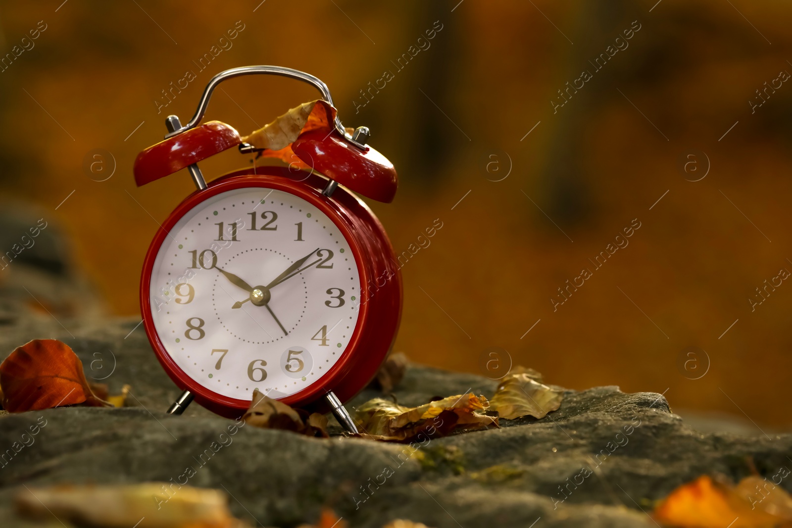 Photo of Alarm clock on fallen dry leaves and stones outdoors, closeup. Space for text