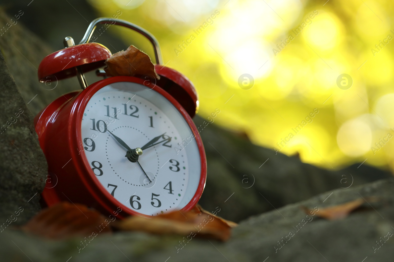 Photo of Alarm clock on fallen dry leaves and stones outdoors, closeup. Space for text