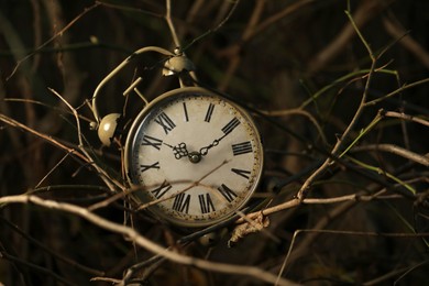 Photo of Alarm clock on dry branches outdoors, closeup. Space for text