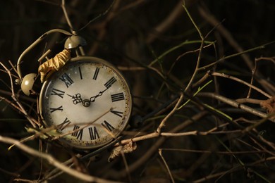 Photo of Alarm clock on dry branches outdoors, closeup. Space for text