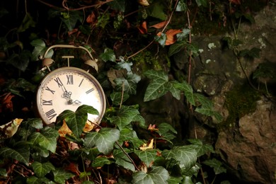 Photo of Alarm clock on fallen dry leaves outdoors, closeup. Space for text