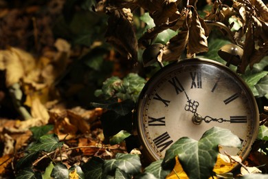 Photo of Alarm clock on fallen dry leaves outdoors, closeup. Space for text