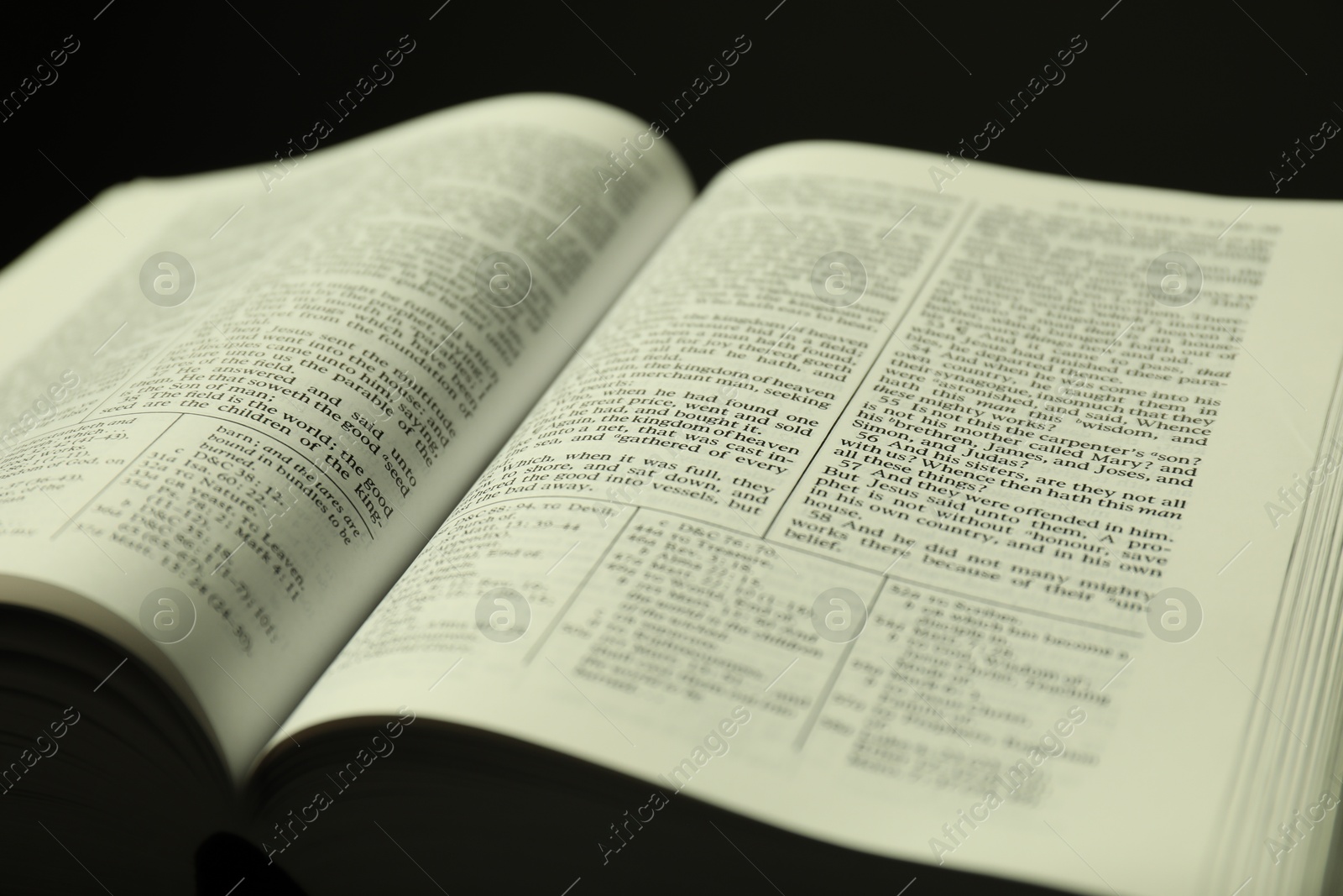 Photo of Open Holy Bible in English language on black background, closeup