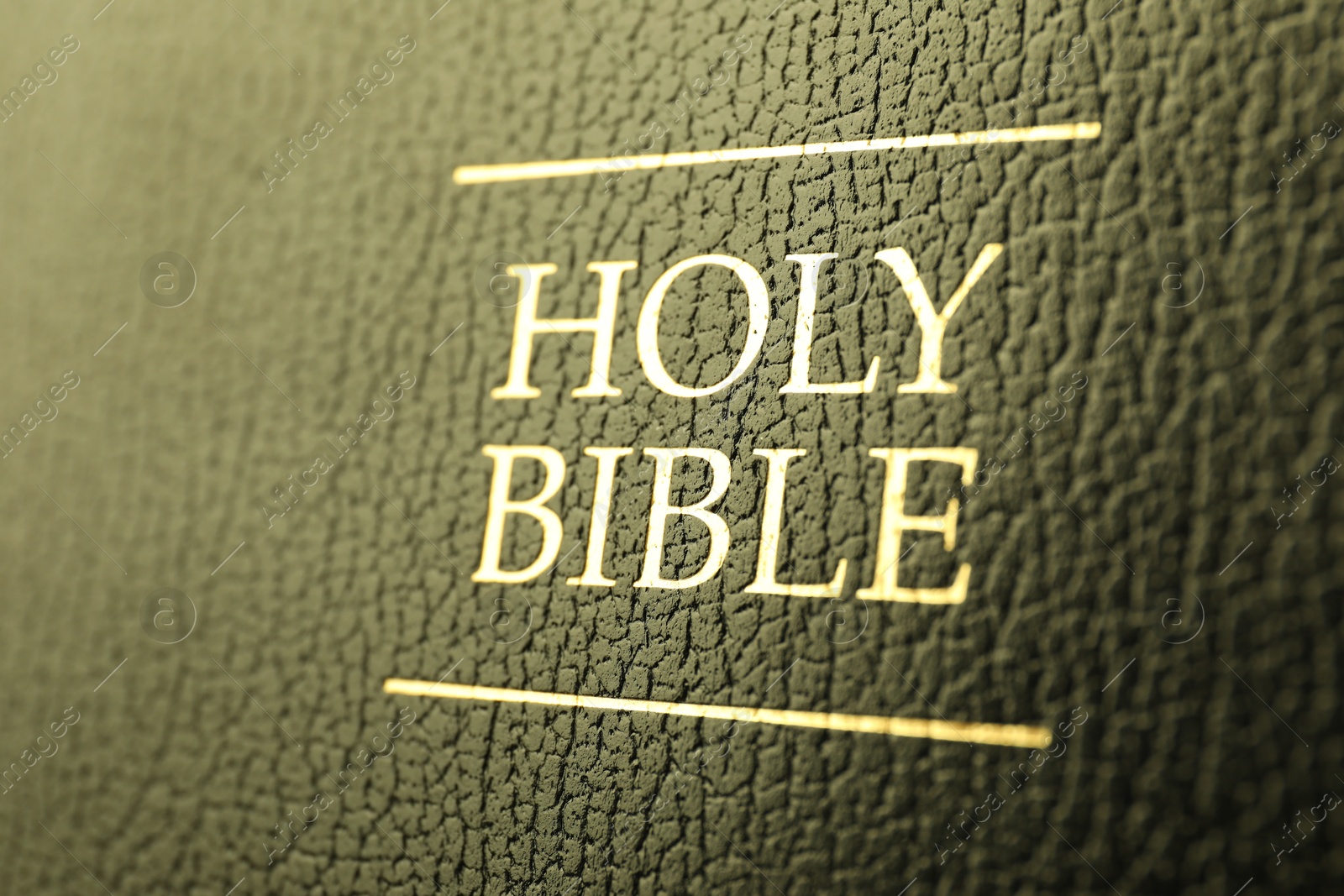 Photo of Hardcover Holy Bible as background, closeup view