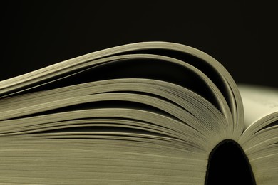 Photo of Open Holy Bible on black background, closeup