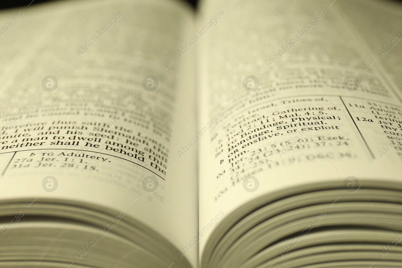 Photo of Open Holy Bible in English language as background, closeup