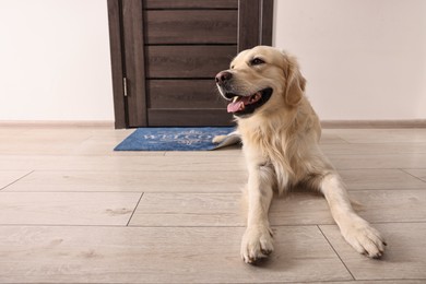 Photo of Walking with dog. Cute Golden Retriever near door indoors