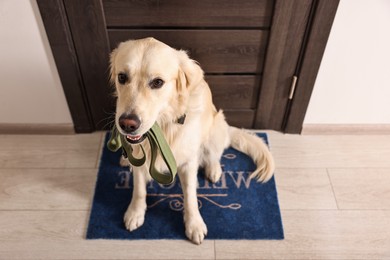 Photo of Walking with dog. Cute Golden Retriever with leash near door indoors