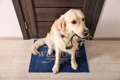 Photo of Walking with dog. Cute Golden Retriever with leash near door indoors