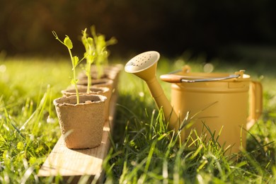 Photo of Potted seedlings and watering can on green grass outdoors