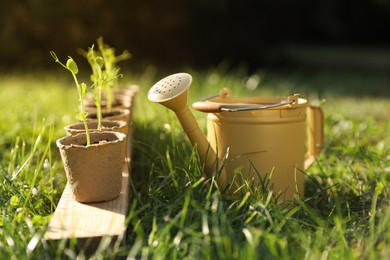 Photo of Potted seedlings and watering can on green grass outdoors