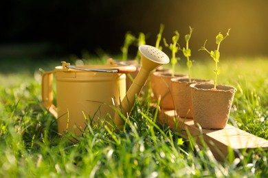 Photo of Potted seedlings and watering can on green grass outdoors