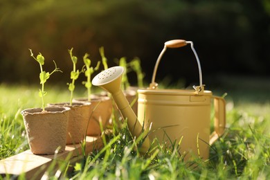 Photo of Potted seedlings and watering can on green grass outdoors