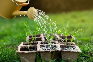 Photo of Watering potted seedlings with can outdoors, closeup