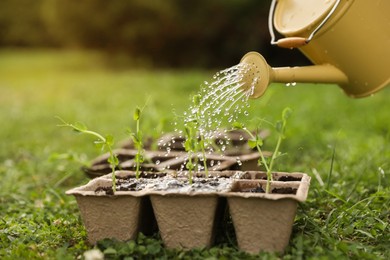 Photo of Watering potted seedlings with can outdoors, closeup