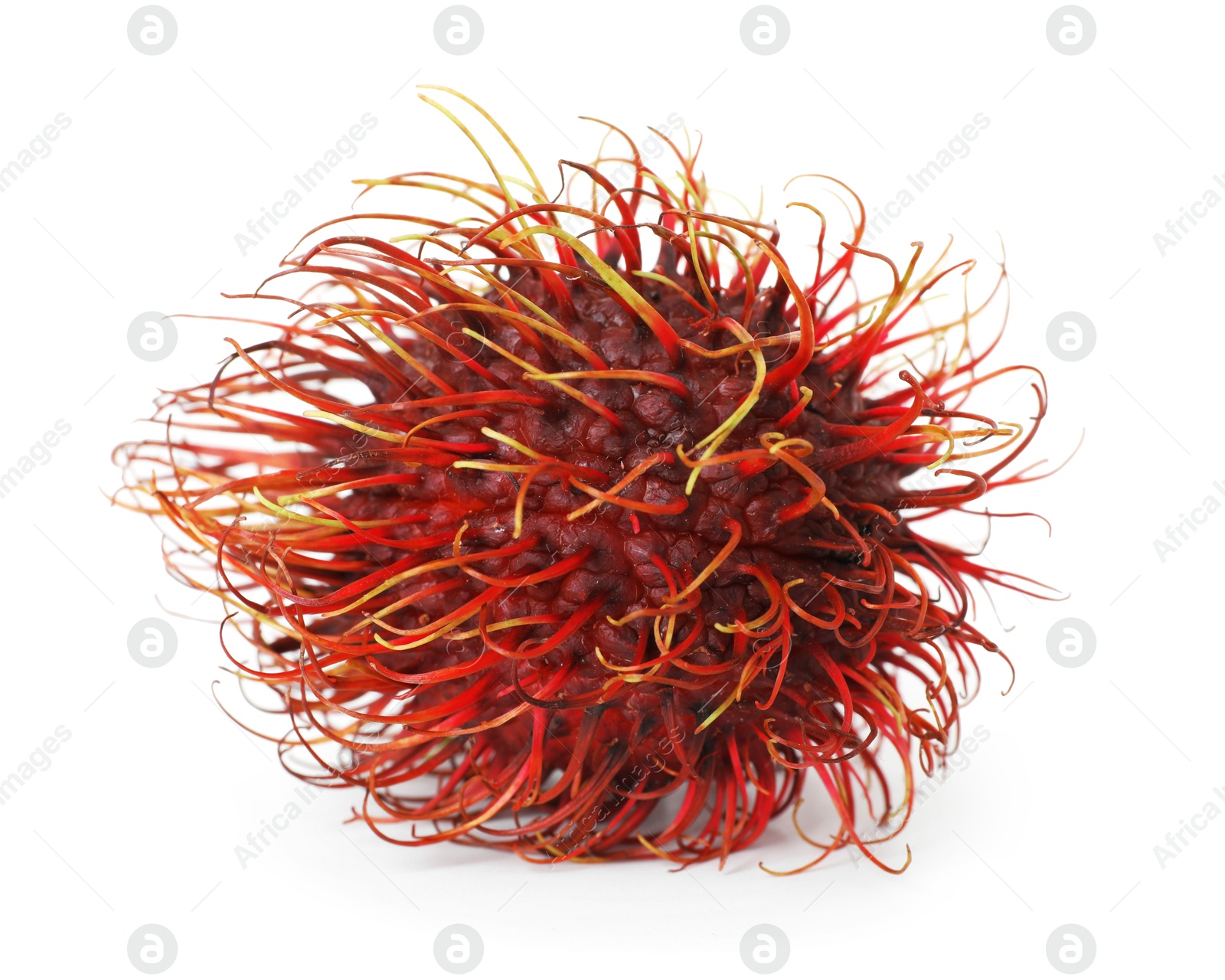 Photo of One whole rambutan isolated on white. Exotic fruit