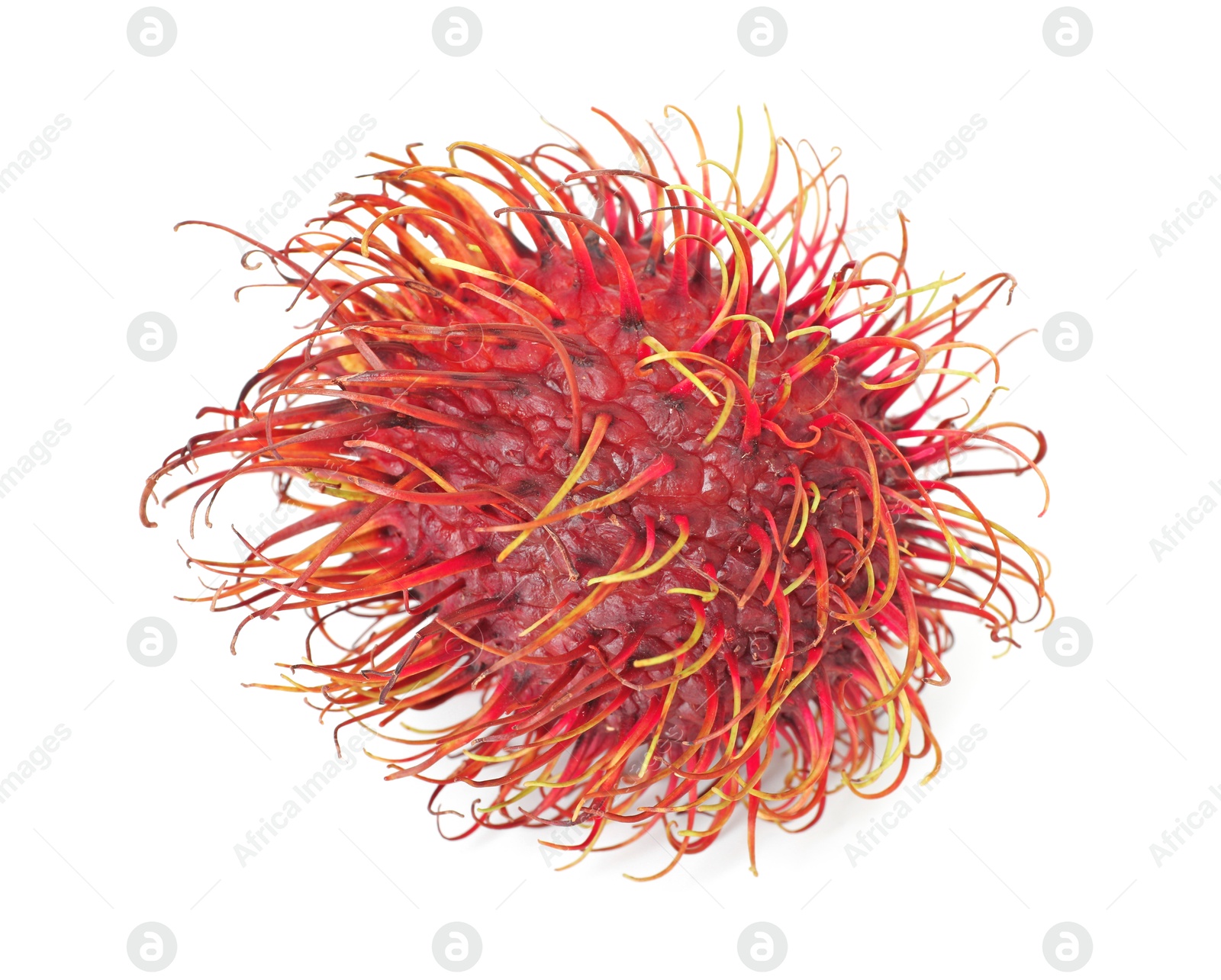 Photo of One whole rambutan isolated on white. Exotic fruit