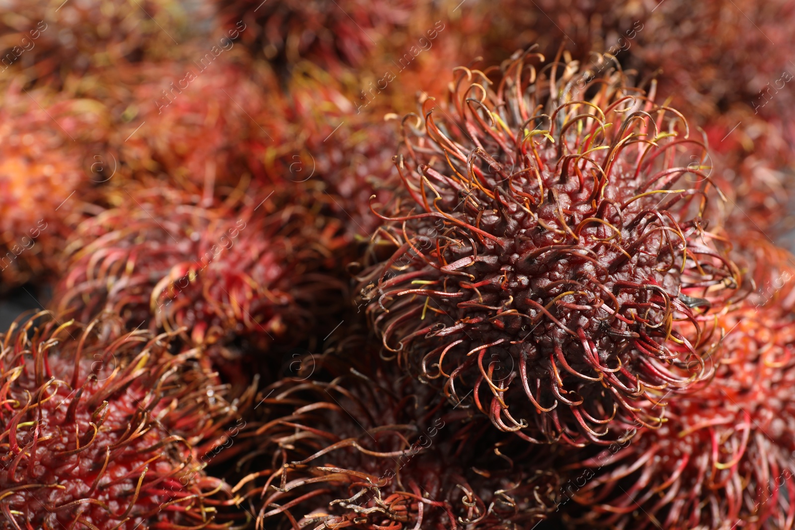 Photo of Pile of fresh rambutans as background, closeup