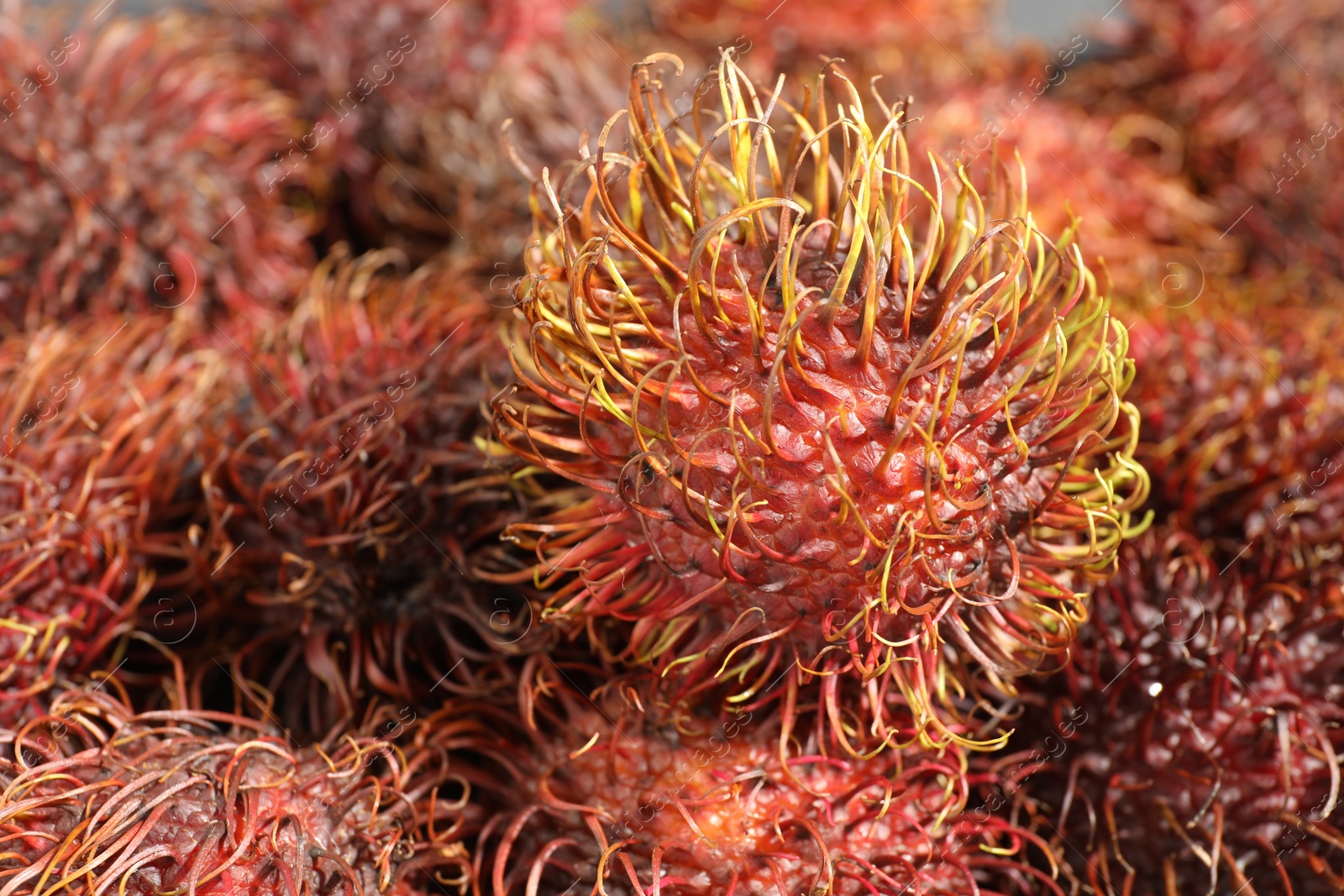 Photo of Pile of fresh rambutans as background, closeup