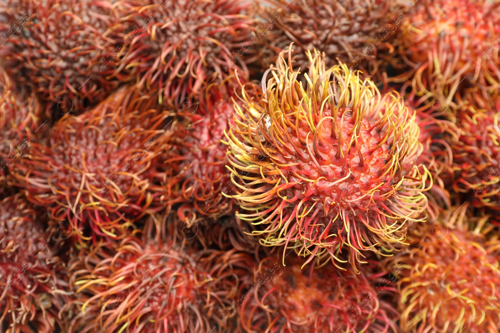 Photo of Pile of fresh rambutans as background, closeup