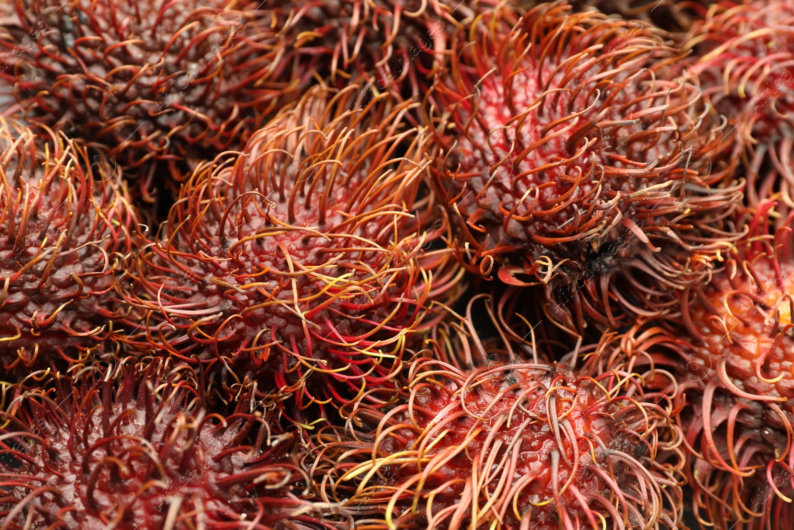 Photo of Pile of fresh rambutans as background, closeup