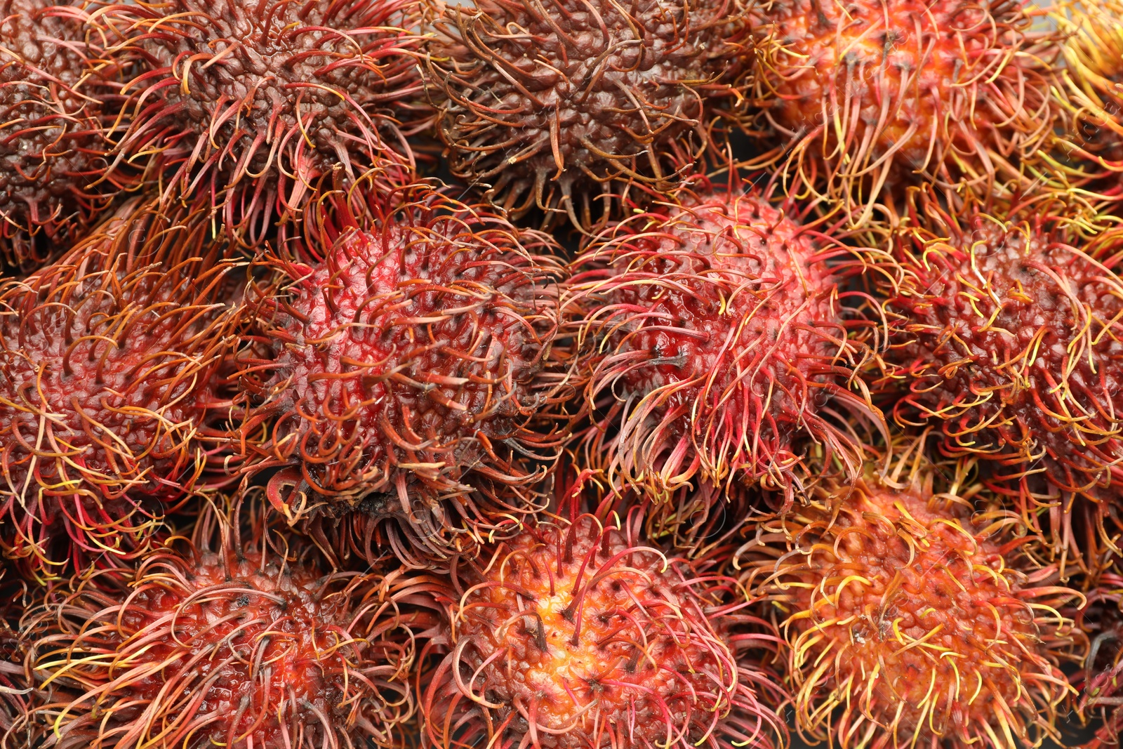 Photo of Pile of fresh rambutans as background, closeup