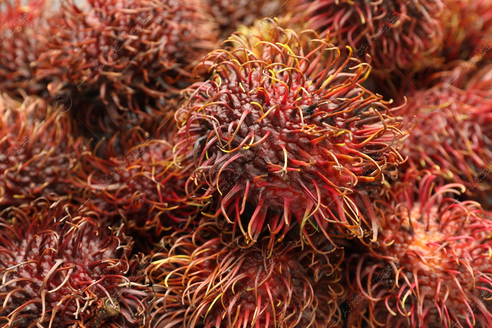 Photo of Pile of fresh rambutans as background, closeup