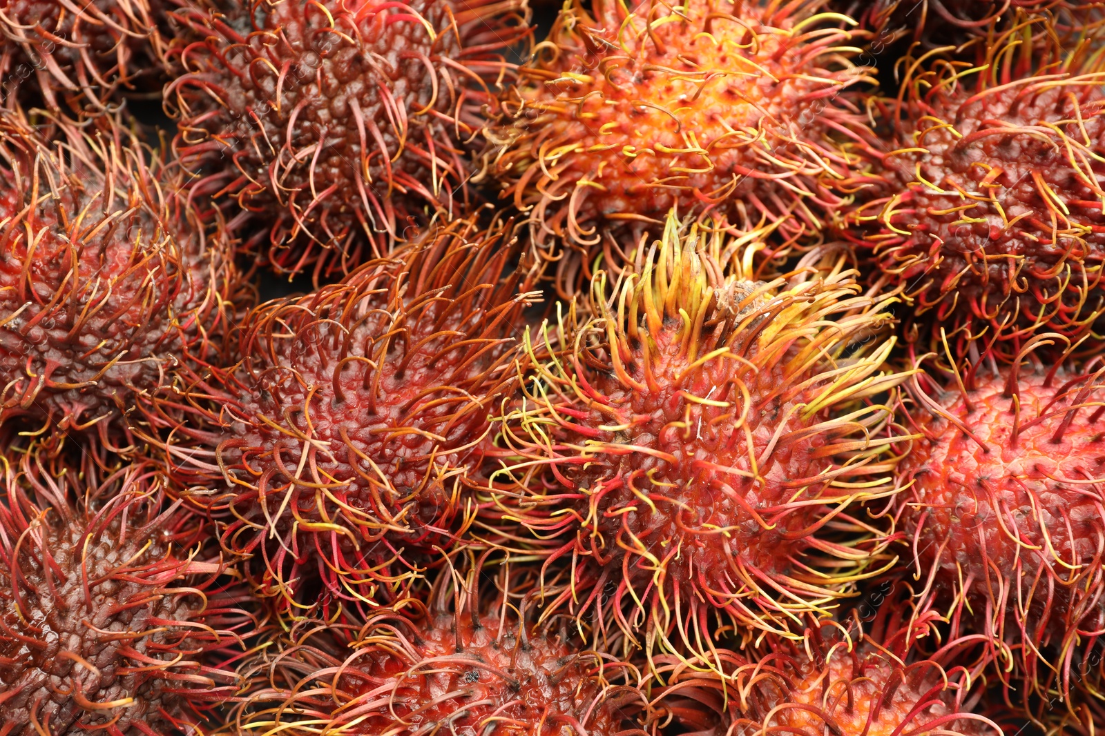 Photo of Pile of fresh rambutans as background, closeup