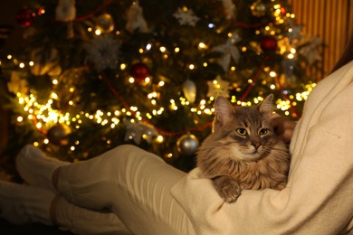 Photo of Woman relaxing with cat near Christmas tree, closeup