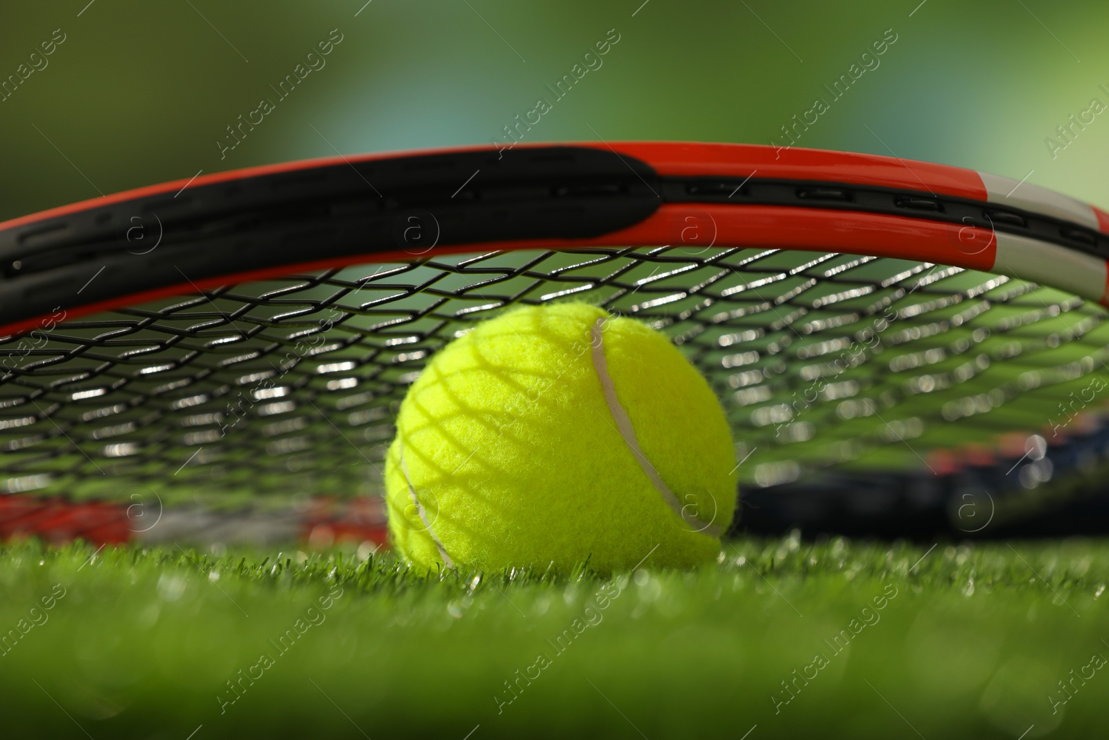 Photo of Tennis racket and ball on green artificial grass, closeup