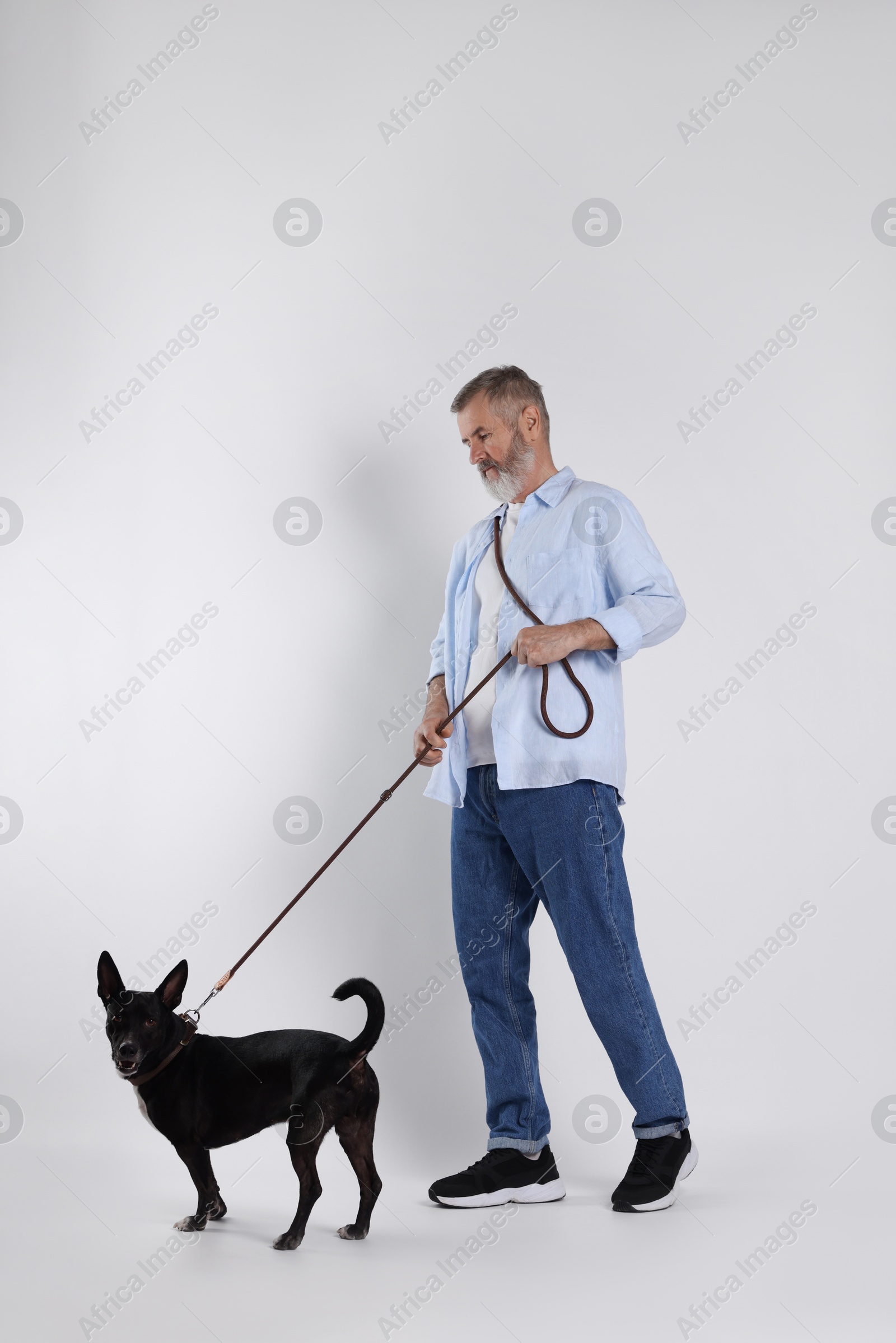 Photo of Senior man with cute dog on white background