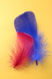 Photo of Fluffy blue and red feathers on yellow background, top view