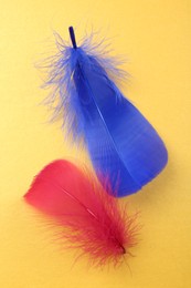 Photo of Fluffy blue and red feathers on yellow background, top view