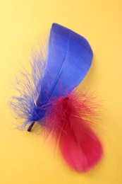 Fluffy blue and red feathers on yellow background, top view