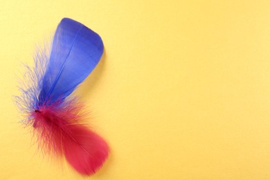 Fluffy blue and red feathers on yellow background, top view. Space for text