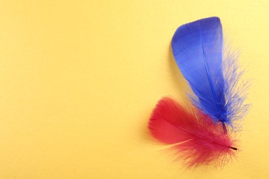 Fluffy blue and red feathers on yellow background, top view. Space for text