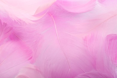 Photo of Beautiful pink feathers as background, closeup view