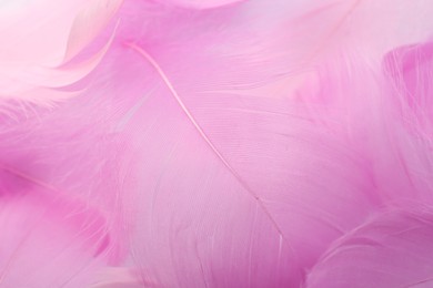 Beautiful pink feathers as background, closeup view