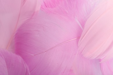 Photo of Beautiful pink feathers as background, closeup view