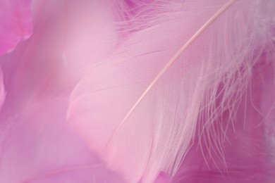 Beautiful pink feathers as background, closeup view