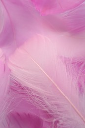 Photo of Beautiful pink feathers as background, closeup view